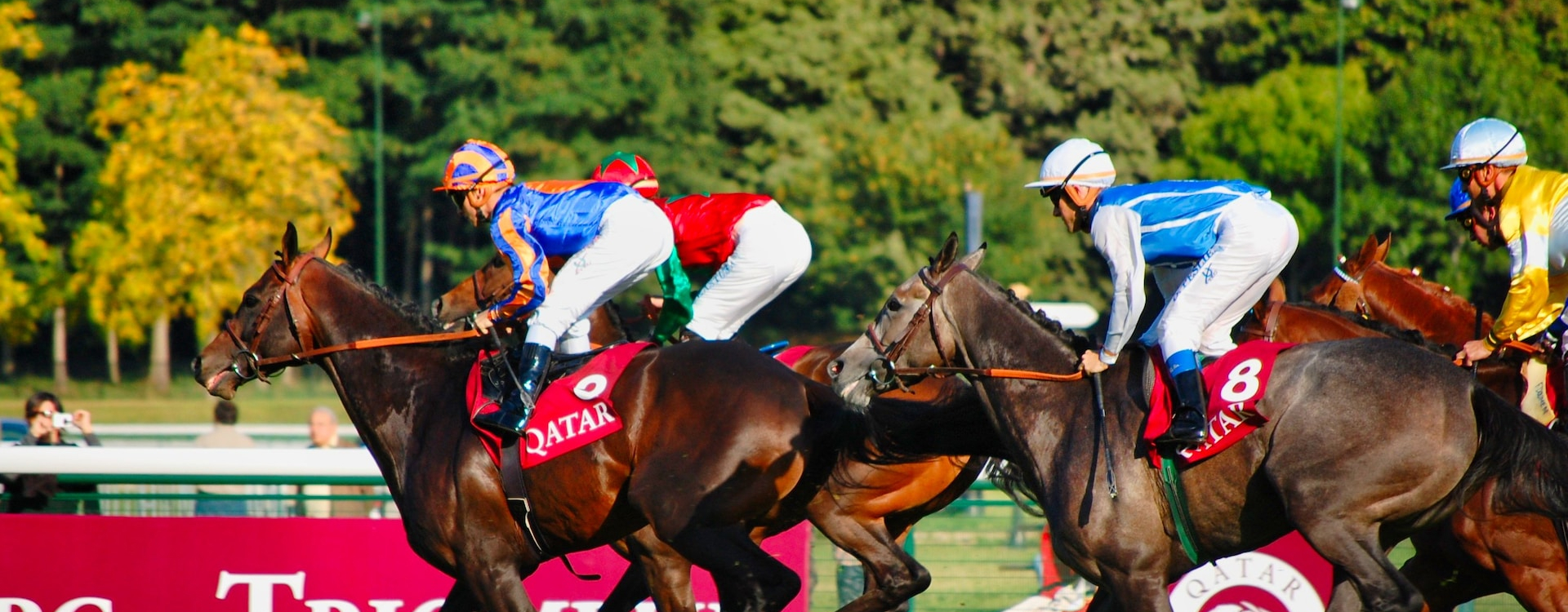 HR SPORTS INFO HR Sports Info The Best Speed Ratings About For Horses HR SPORTS INFO HR Sports Info The Best Speed Ratings About For Horses